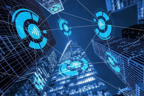 智網安云 東西湖企業守護中國西北網絡安全，引領網絡技術開發創新